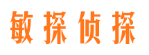 团风侦探